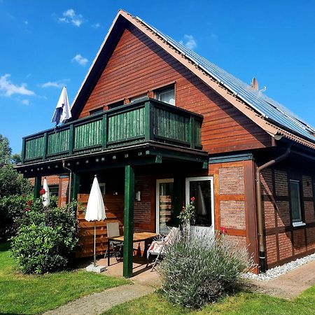 Ferienhaus Sasse Ferienwohnungen Mit Garten & Grill Molschow Extérieur photo