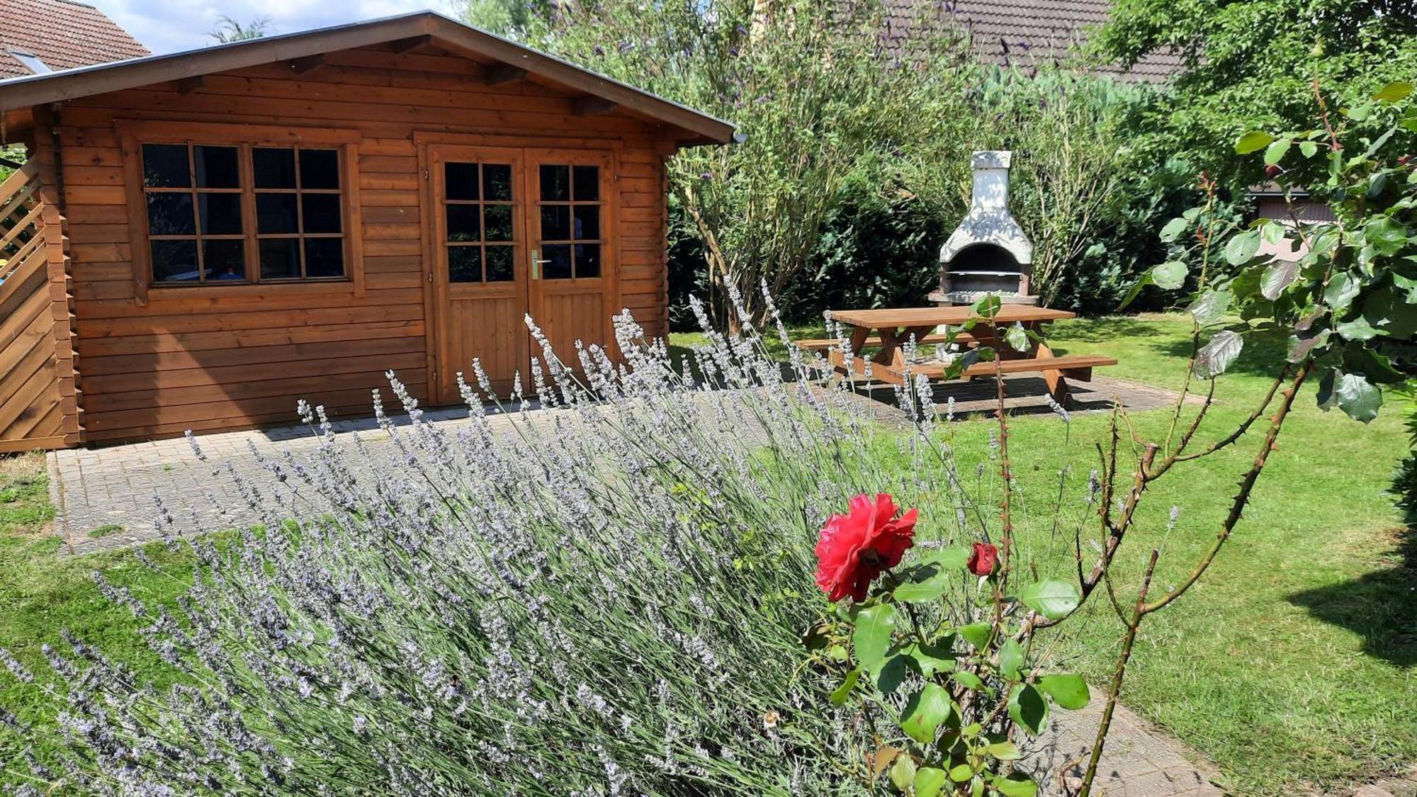 Ferienhaus Sasse Ferienwohnungen Mit Garten & Grill Molschow Extérieur photo